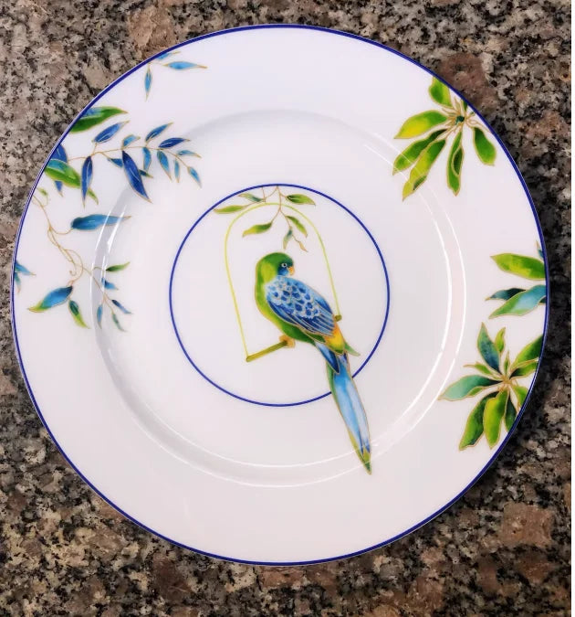 Jogo de jantar de porcelana papagaio
